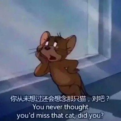 李天朔的头像