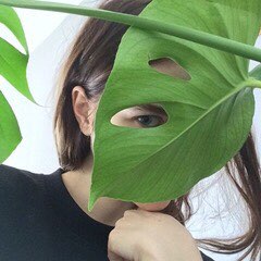 星星在北方的头像