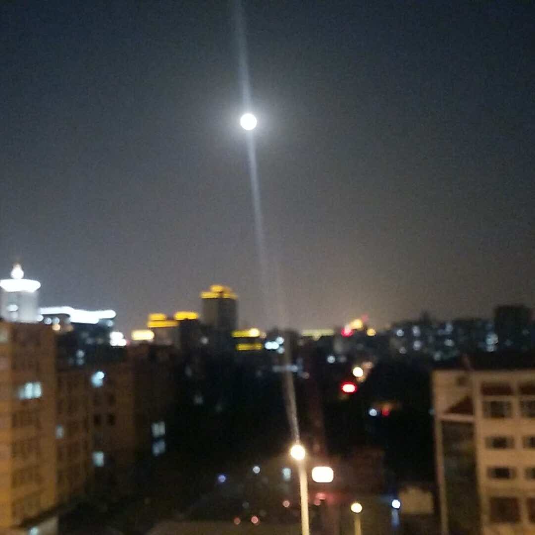 书友鲜花的头像
