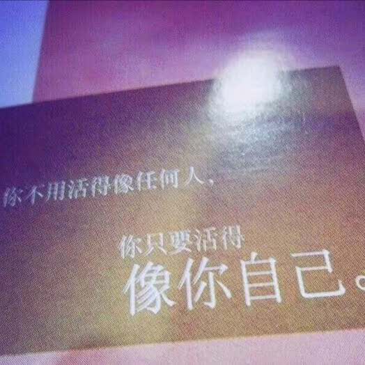 煮鸡的头像