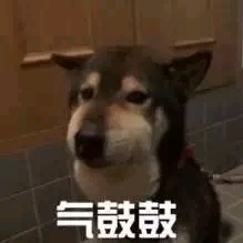 优雅高傲