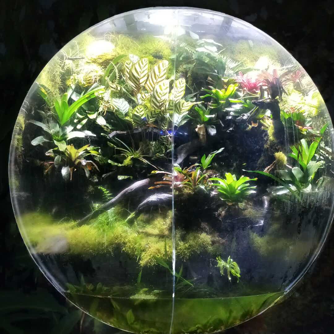 恋尘小魔女的头像