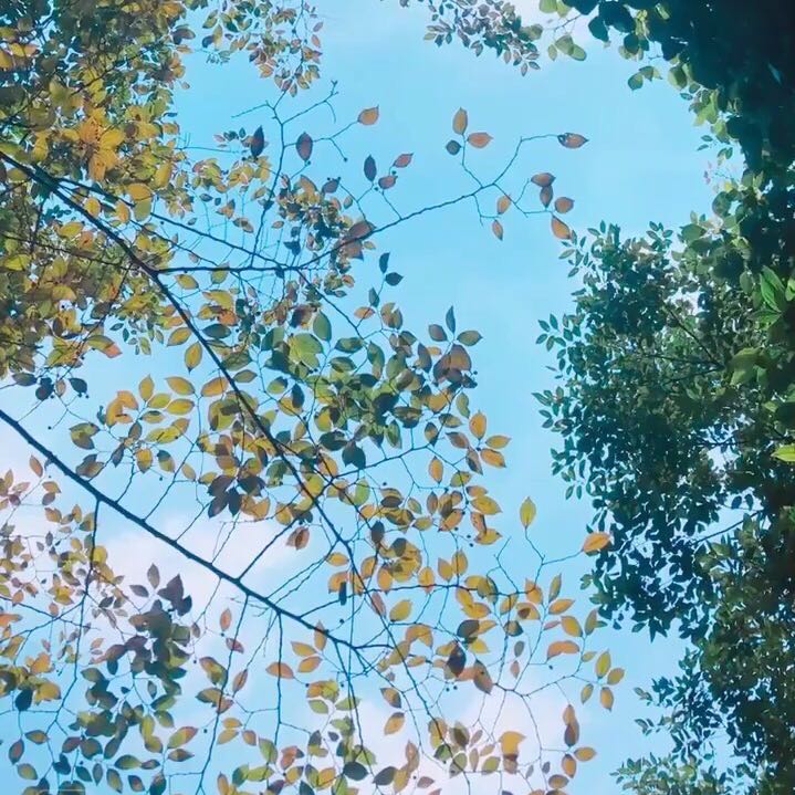 黄秋華的头像