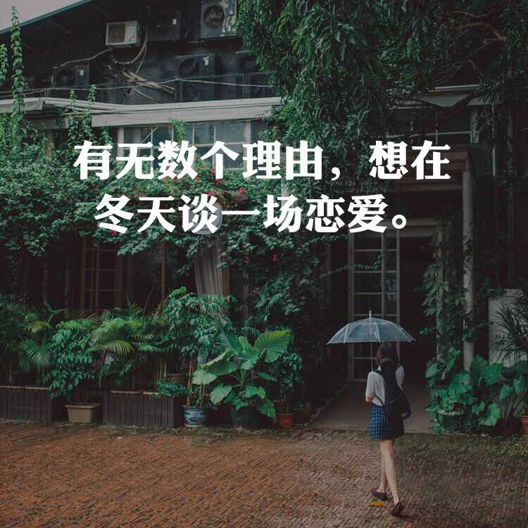 小可爱的头像