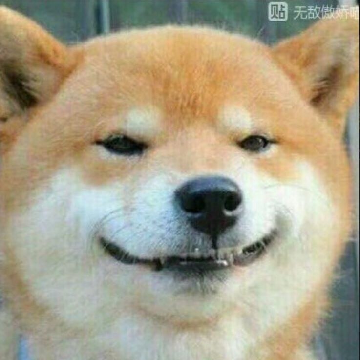 用户6987216<span class="io-vip-comment-badge"><span class="vip-level-badge" style="--iovips-level-color:#9ca3af;"><i class="fa fa-user"></i> 普通会员</span></span>